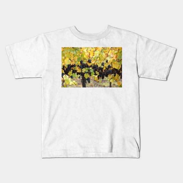 Fruity - Magpie Springs - Adelaide Hills - Fleurieu Peninsula by South Australian artist Avril Thomas Kids T-Shirt by MagpieSprings